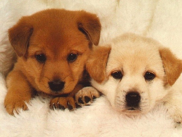 №12, Екатерина Бутнорис №12, Екатерина Бутнорис