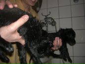 Фотография Лабутиной Анастасии