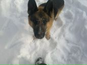 Рус Свірчевський фотография #38 (источник - https://vk.com/id50143246)