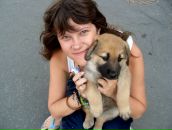 Фотография Биденко Даши