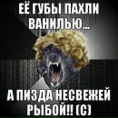 Катько Бирюкова фотография #17 (источник - https://vk.com/id26086263)