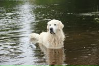 Иван Любченко фотография #30 (источник - https://vk.com/id682883)