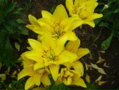 Фотография Пензиевой Анны