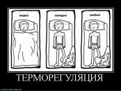 Дмитрий Сухарев фотография #32 (источник - https://vk.com/id3077210)