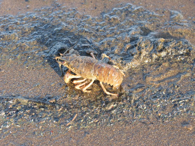 Дмитрий Лещук фотография #30