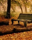 Hеlеn Smіlе фотография #20 (источник - https://vk.com/id159168715)