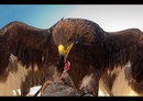 Alp Arslan фотография #1