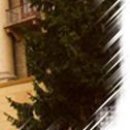 Тернопільський Коледж фотография #8 (источник - https://vk.com/id154590743)