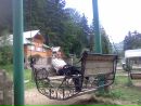Сергій Нема фотография #25 (источник - https://vk.com/id139492806)