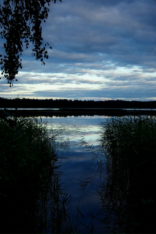 Андрей Разбаш фотография #18