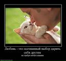 Кристина Філевич фотография #50 (источник - https://vk.com/id29738243)
