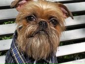 Фотография Юрченко Ивана