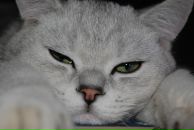 Фотография Кононовой Ольги