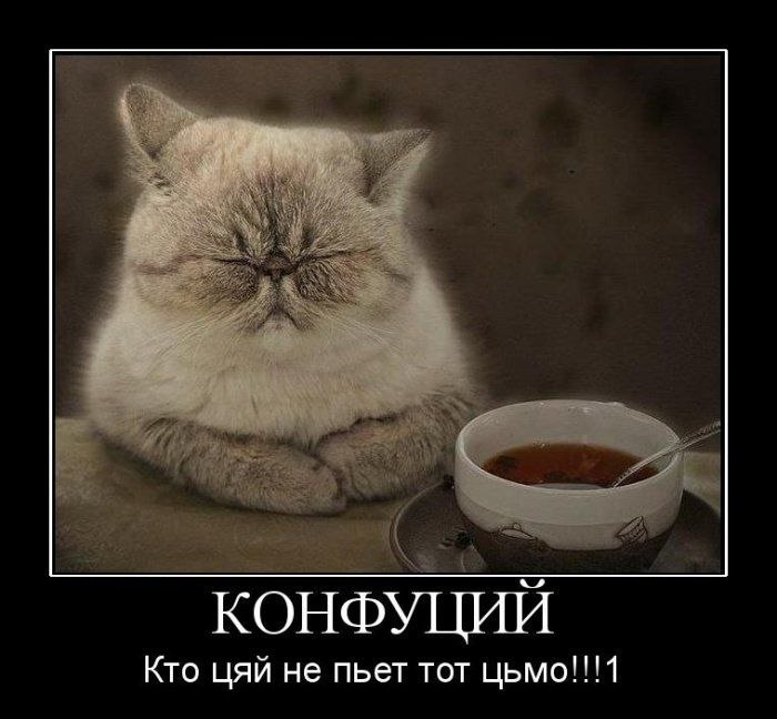 Серёжа Мамаев фотография #43