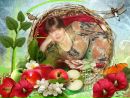 Фотография Никитина(дмитриева) Веры