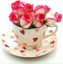 Віталія Поляк фотография #21 (источник - https://vk.com/id61421937)