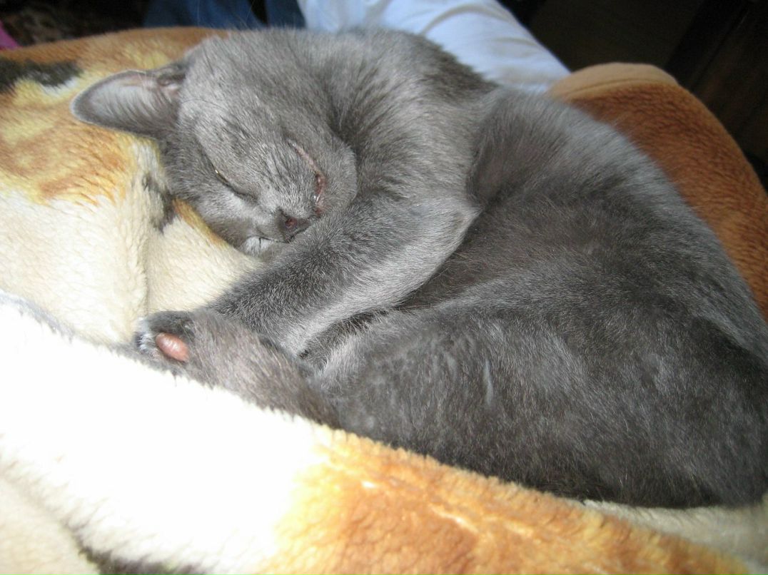 Илья Воробьев фотография #39