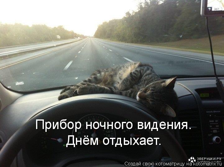 Костя Царегородцев фотография #7