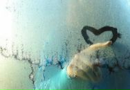 Фотография Миловской Алены