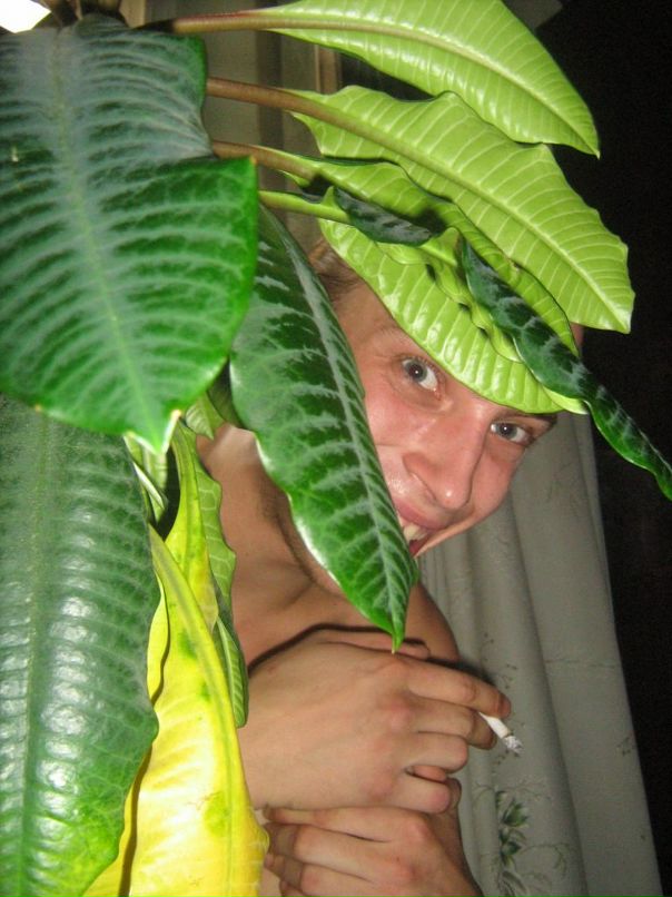 Дмитрий Чеботарев фотография #26