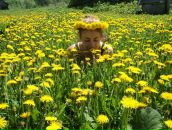 Фотография Банниковой Ксении