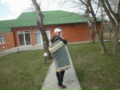 Фотография Крахмалёва Никиты