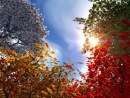 Фотография Ахмадиевой Гульнары