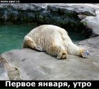 Фотография Максимова Игоря