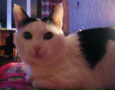 Фотография Кочуровой Надежды