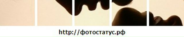 Дмитрий Егоров фотография #1