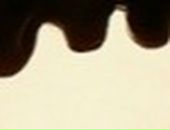 Дмитрий Егоров фотография #4 (источник - https://vk.com/id778201)