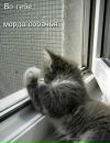 Віка Глиняна фотография #1