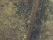 Ірина Марціх фотография #7 (источник - https://vk.com/id32689122)