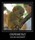 Фотография Пантелеева Михаила