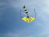 Фотография Филатенковой Виты