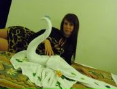 Фотография  