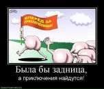 Тима Мороз фотография #17 (источник - https://vk.com/id249775)