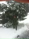 Олег Рогач фотография #21 (источник - https://vk.com/id4909285)