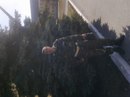 Іван Грицуляк фотография #20 (источник - https://vk.com/id152919939)