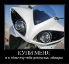 Фотография Хлучина Александра