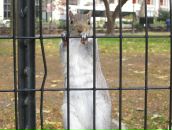 Варвара Мищенко фотография #27 (источник - https://vk.com/id1838784)