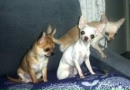 Каріна Громова фотография #11 (источник - https://vk.com/id169254044)