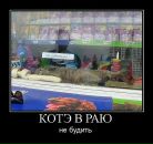 Серьога Іванович фотография #42 (источник - https://vk.com/id26782137)