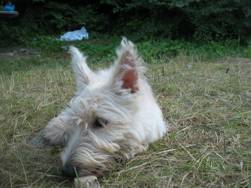 Ира Абакук фотография #29