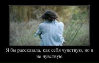 Дмитрий Шанин фотография #48 (источник - https://vk.com/id578933)