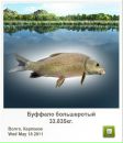 Діма Чорнобай фотография #25 (источник - https://vk.com/id28333196)