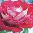 Сергій Клименко фотография #25 (источник - https://vk.com/id148502130)