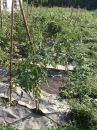 Надія Омельченко фотография #22 (источник - https://vk.com/id79112696)
