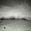 Фотография Горловой Марии