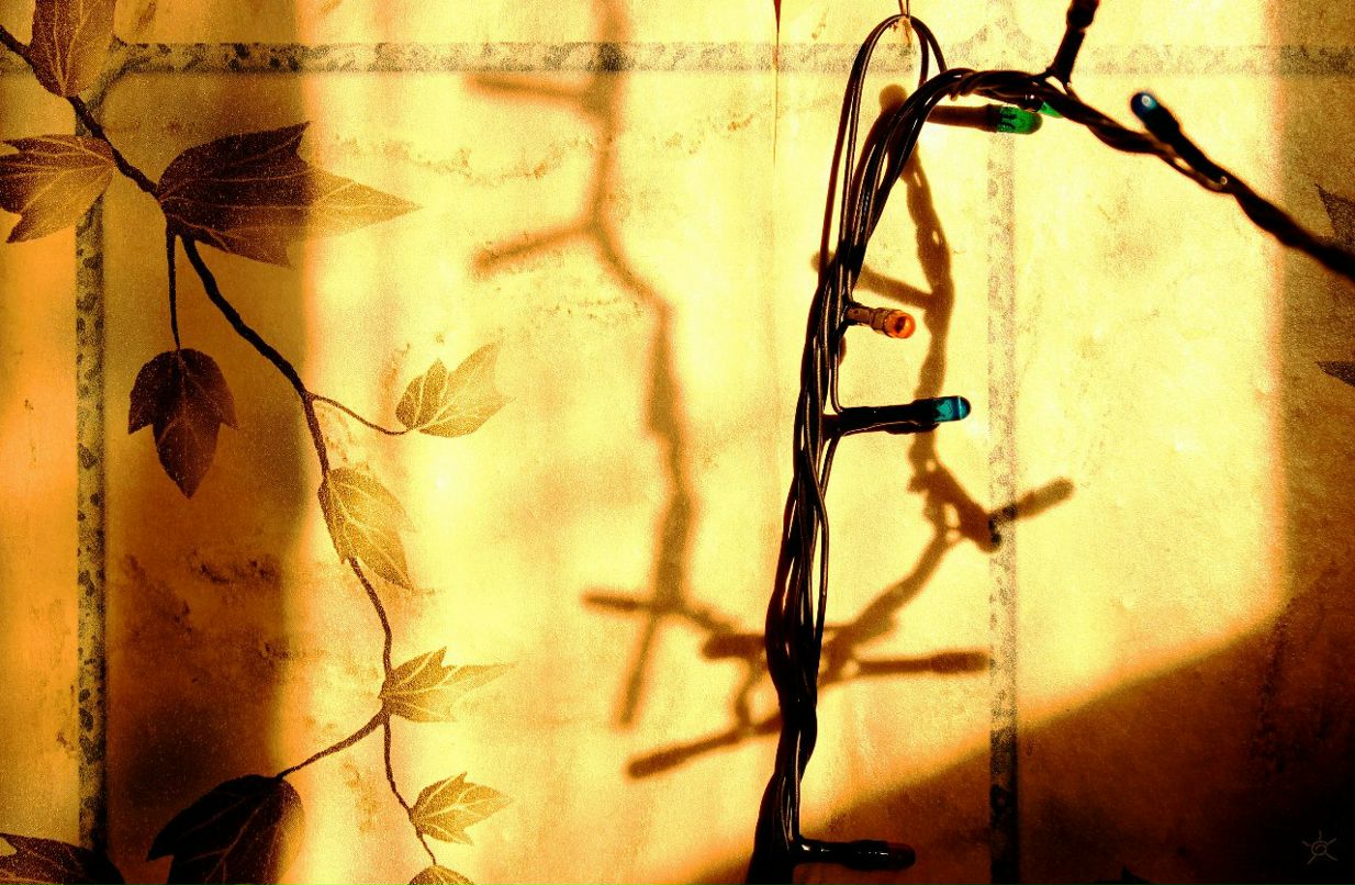 Илья Черников фотография #18